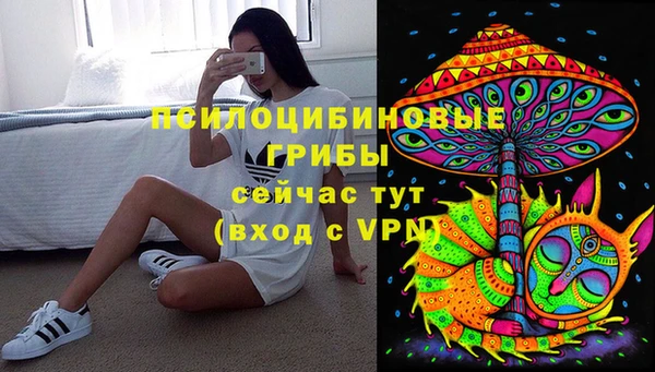 мяу мяу мука Алексин
